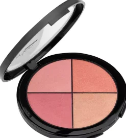 Aden Blusher Palette