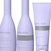 Björn AxénRepair Cool Blonde Coloring Silver Trio