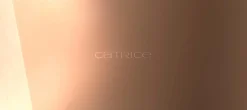 Catrice The Luminous Edit Eye & Face Palette