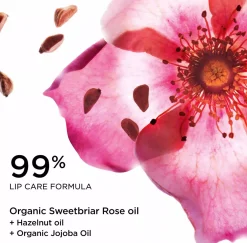 ClarinsLove Collection Lip Comfort Oil 31
