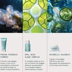 Elemis Entry Level Discovery Set