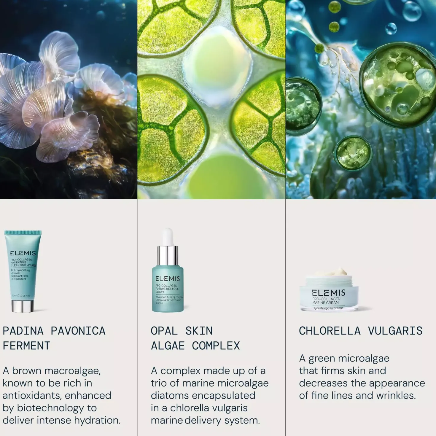 Elemis Entry Level Discovery Set