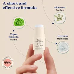 EmbryolisseArtist's Secret Radiant Eye 4 ml