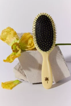 Fan Palm Medium Sunshine Wet Brush