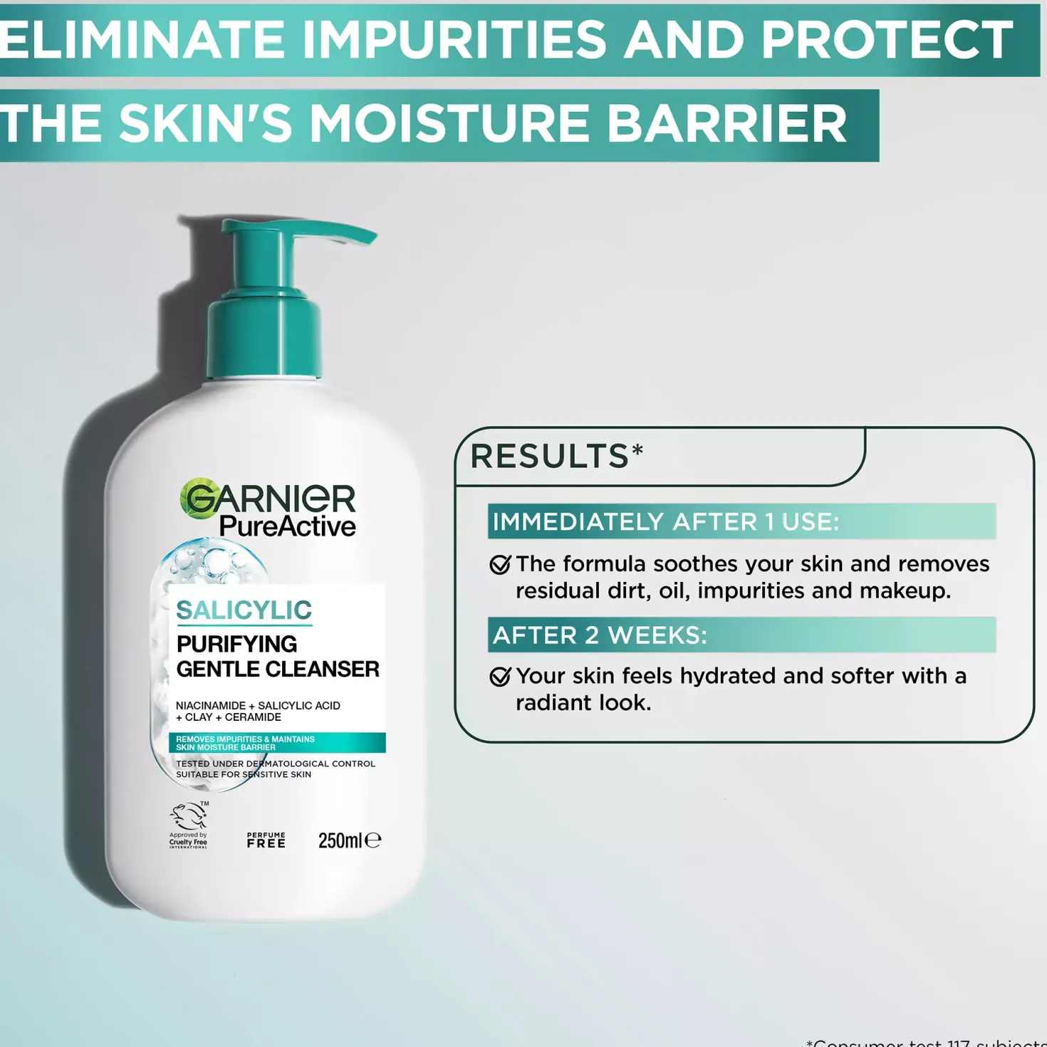 GarnierPureActive Salicylic Purifying Gentle Cleanser For Impure Skin 250 ml