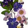 Glitternisti Face Flowers Purple & Greens