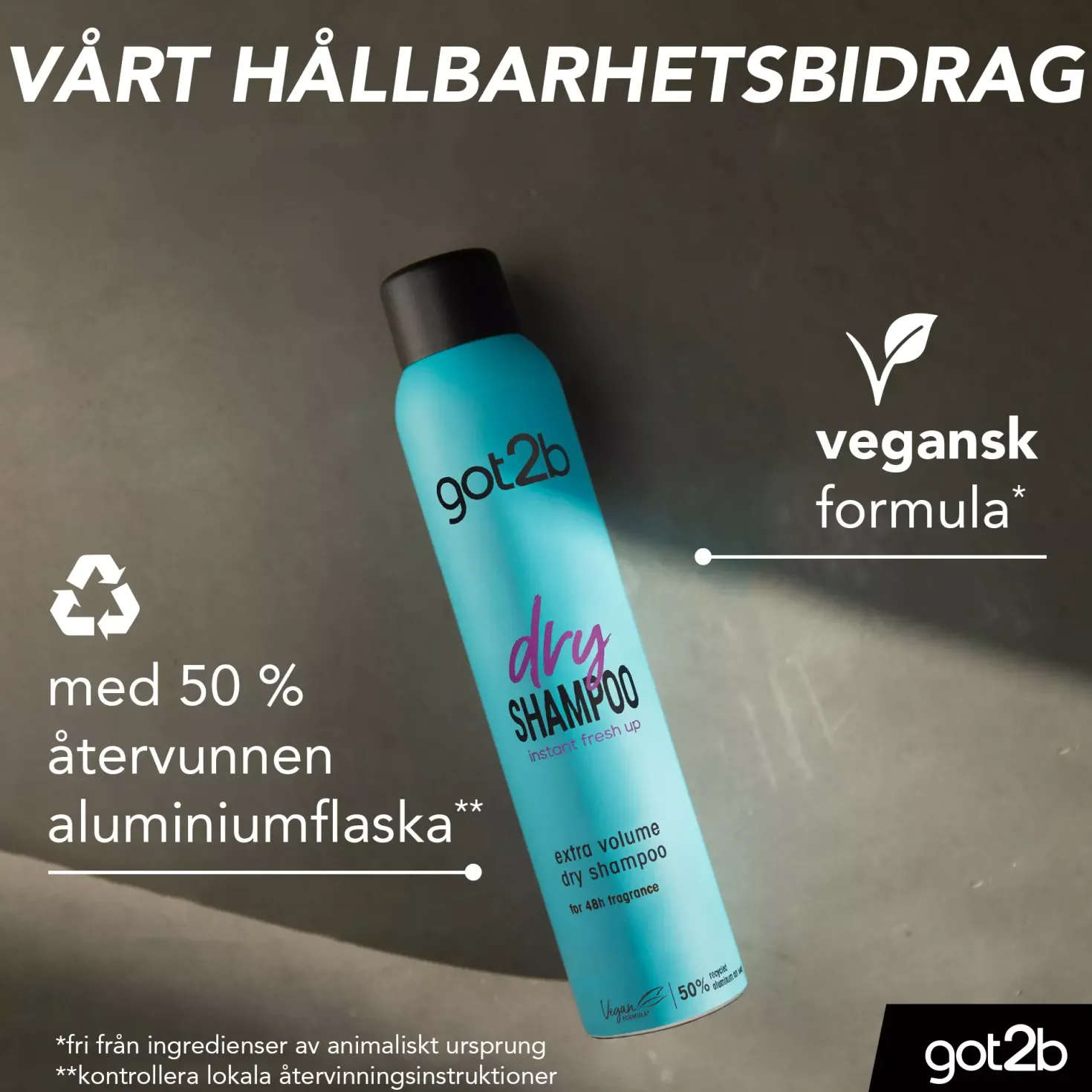 got2b Dry Schampoo Extra Volume 200 ml