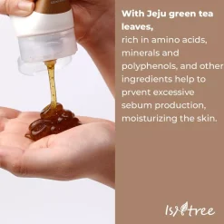 Isntree Green Tea Cleanser 120 ml