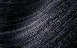 MontibelloDénuée OTC 1.1 Black Blue