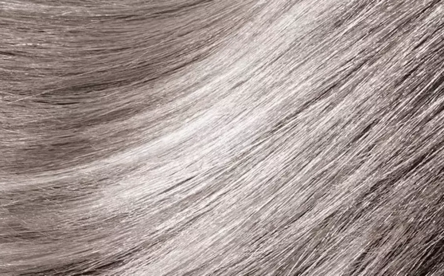 MontibelloDénuée OTC 10.12 Platinum Blonde Ash Iridescent