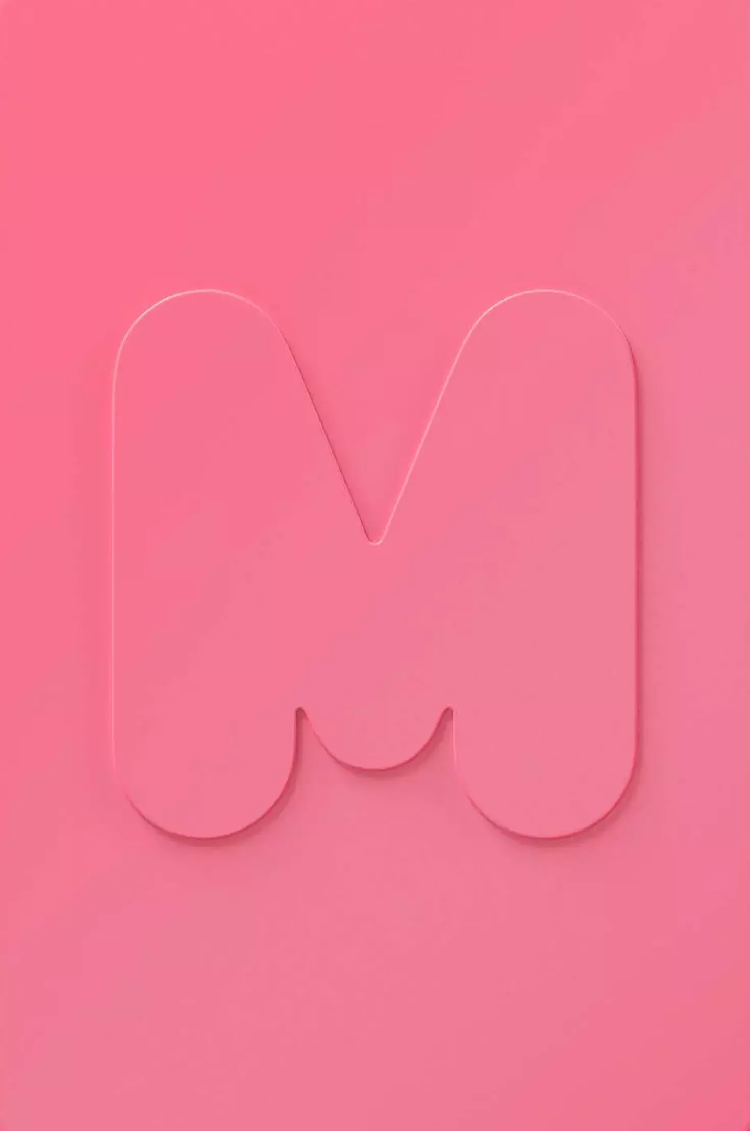 Morphe M163 Paddle Powder Brush