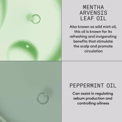 NioxinDensity Defend Hair Booster Serum 100 ml