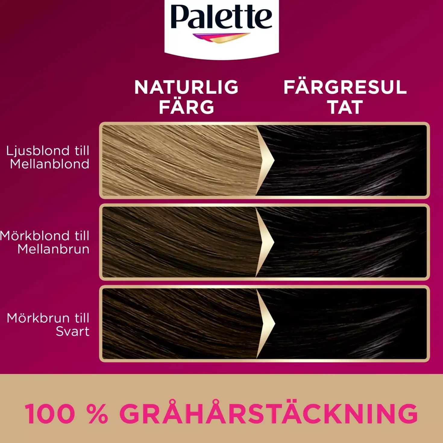 Palette Intensive Creme Coloration 3-0 Dark Brown