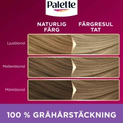 Palette Intensive Creme Coloration 7-0 Midway Blonde