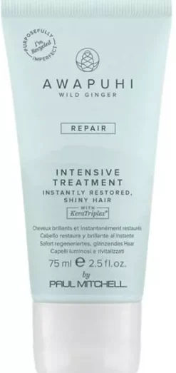Paul MitchellAwapuhi Wild Ginger Intensive Treatment 500 ml