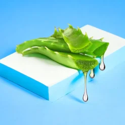 The Lab Performance Aloe Vera Gel 250 ml