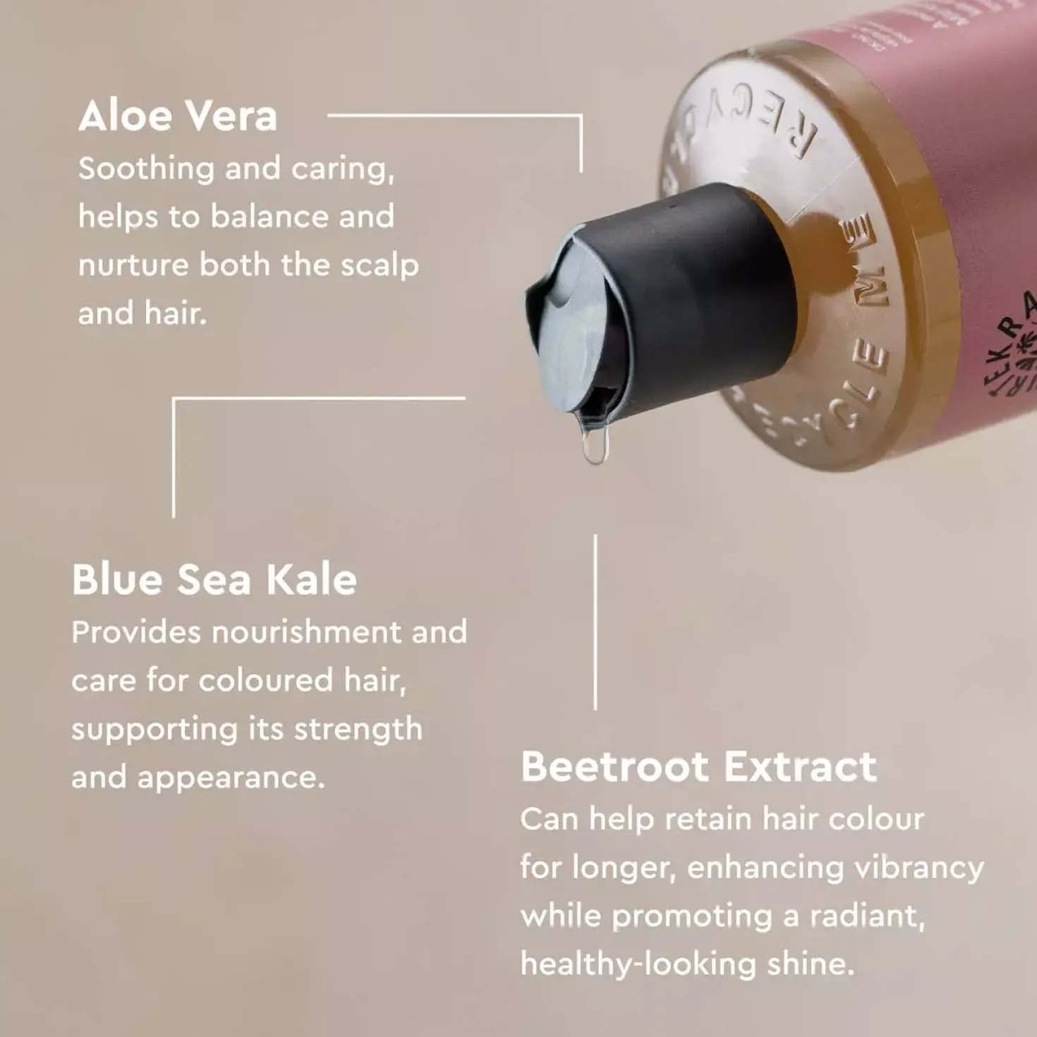 UrtekramSoft Wild Rose Dare to Dream Shampoo 250 ml