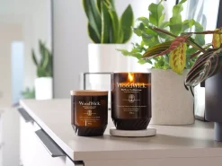 WoodWickTomato Leaf & Basil Renew Candle Large